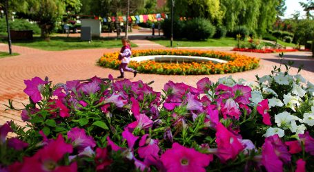 ÇİÇEK GİBİ BİR BAŞKENT