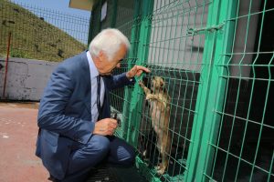 2019_06_26_TBMM Hayvanların Haklarının Korunması..._Komisyon_Barınak Ziyareti (15)