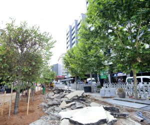 SAKARYA YEŞİLLENİYOR