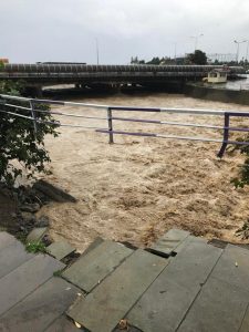 71086632_413052939621955_6605207874983428096_n