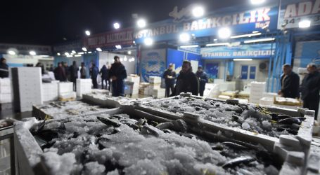 Başkent’te  balığın adı: HAMSİ