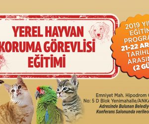BÜYÜKŞEHİR’DEN HAYVANSEVERLERE EĞİTİM…