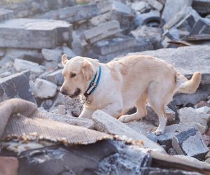 Bunlar da Depremin Melekleri !
