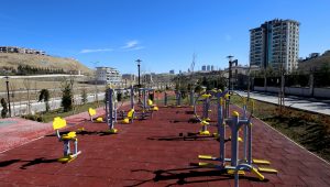 2020_02_26_Park Bahçeler_Alacaatlı-Ali Topuz Parkı (12)