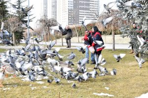 DNR_0309