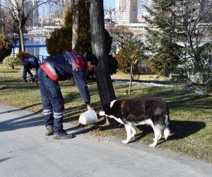 CAN DOSTLARIMIZIN SAĞLIĞI DA EMİN ELLERDE