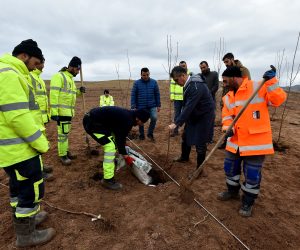 BAŞKENT’TE MEYVE FİDELERİ TOPRAKLA BULUŞUYOR