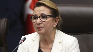 1558084380194-ruhsarpekcan