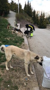 1d063e97-e3f5-47a4-84fd-cae4bc62de0e