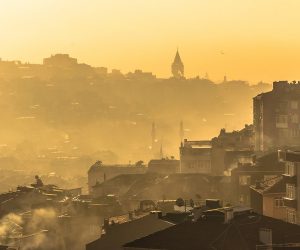 5 HAZİRAN DÜNYA ÇEVRE GÜNÜ