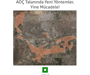 AOÇ Talanında Yeni Yöntemler, Yine Mücadele!
