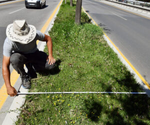 BAŞKENT’TE AĞAÇLARIN KURUMA NEDENİ SUSUZLUK DEĞİL ALTINDAKİ BETON
