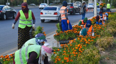 BAŞKENT ARTIK DAHA YEŞİL