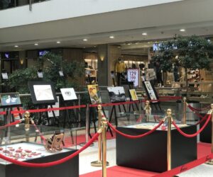 PANDEMİDE EVDE YAPILAN ESERLER GÜN YÜZÜNE ÇIKIYOR