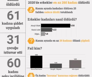 Erkekler Kasım’da 31 kadını öldürdü…