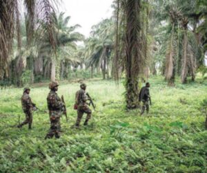 KONGO DA İTALYA BÜYÜKELÇİSİ, ÖLDÜRÜLDÜ