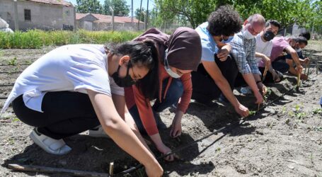 BAŞKENTLİ ÜNİVERSİTELİ GENÇLER TARLADA