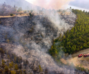 ANKARA İTFAİYESİ ORMAN YANGINLARINA DESTEK İÇİN SAHADA