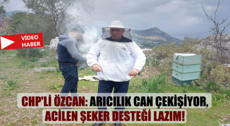Özcan: Arıcılık can çekişiyor, acilen şeker desteği lazım!
