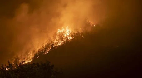 Hatay,Çanakkale,Mersin ve Manavgat’ta orman yangını