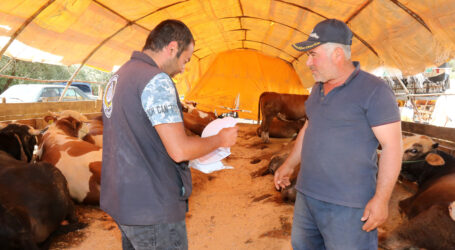 ÇANKAYA KURBAN BAYRAMI’NA HAZIR 