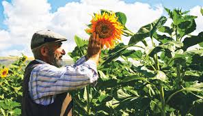 “ÇİFTÇİNİN ZARARI DEVLET TARAFINDAN KARŞILANSIN”