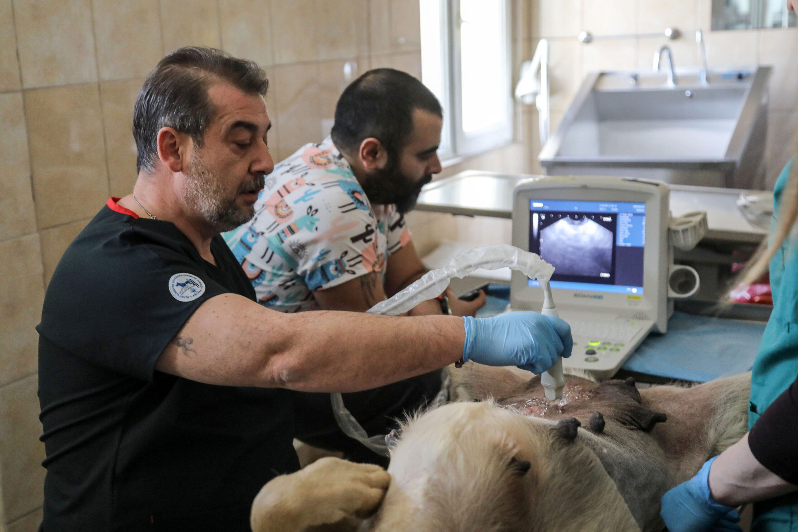 ÇANKAYA BELEDİYESİ VETERİNER HEKİM VE TEKNİKERLERİ BİLİMİN IŞIĞIYLA