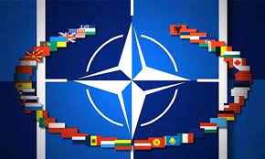 Finlandiya ve İsveç’in NATO üyeliğinde  takvim işliyor
