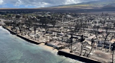 Hawaii’deki orman yangınında 89 kişi öldü