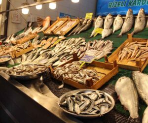 ‘Balık  da artık  lüks gıda olacak’