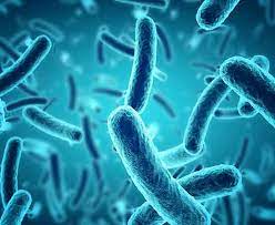 Tedbir alınmazsa antimikrobiyalden 10 milyon kişi hayatını kaybedecek