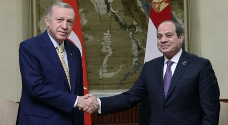 Kahire de Erdoğan, Sisi   buluşması