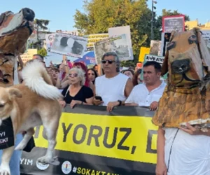 ”Hayvan katliamı” yasa tasarısına isyan büyüyor !