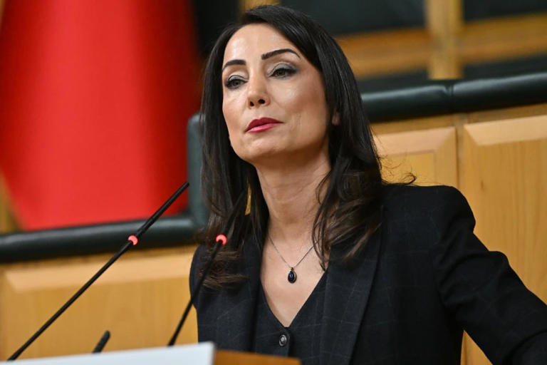 ”Demokrasi adına  iç karartıcı bir tabloyla karşı karşıyayız”