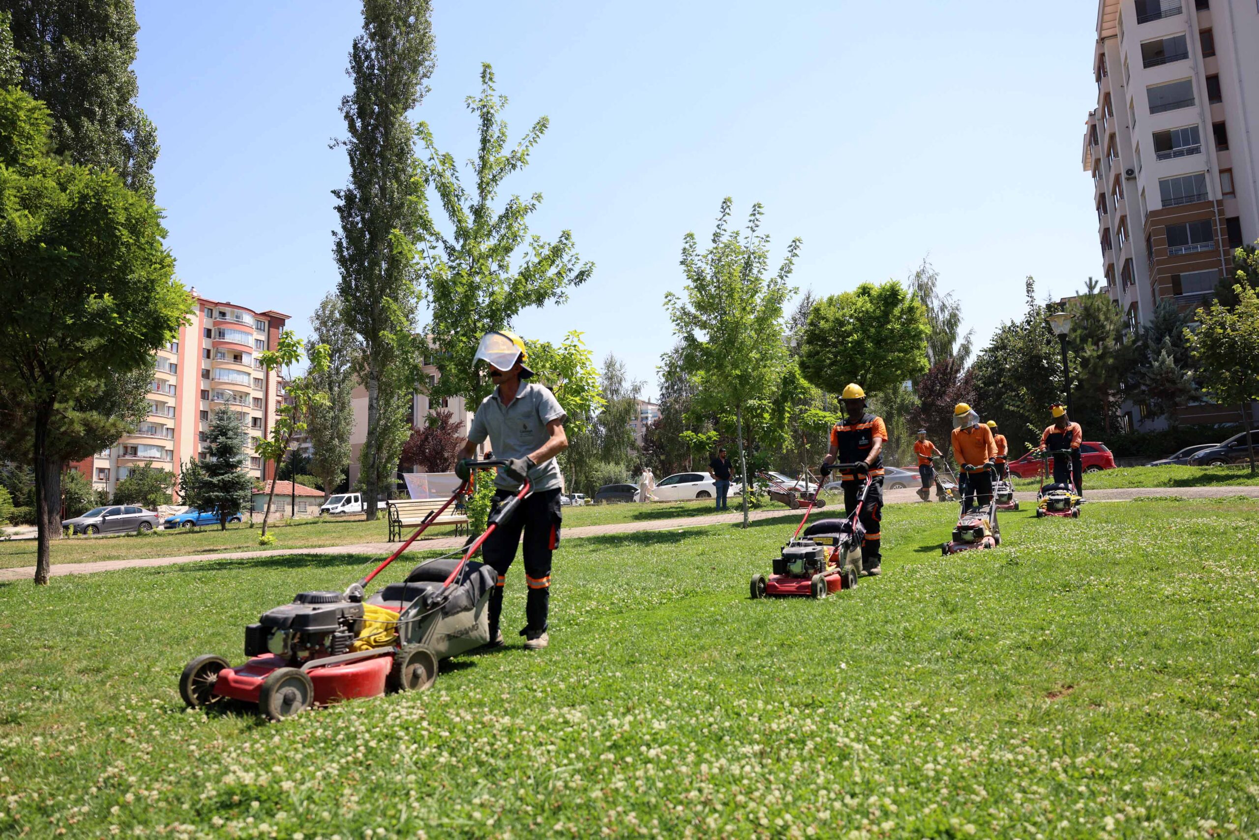 ÇANKAYA PARKLARINDA ÇİMLER BİÇME VE OT TEMİZLEME MESAİSİ