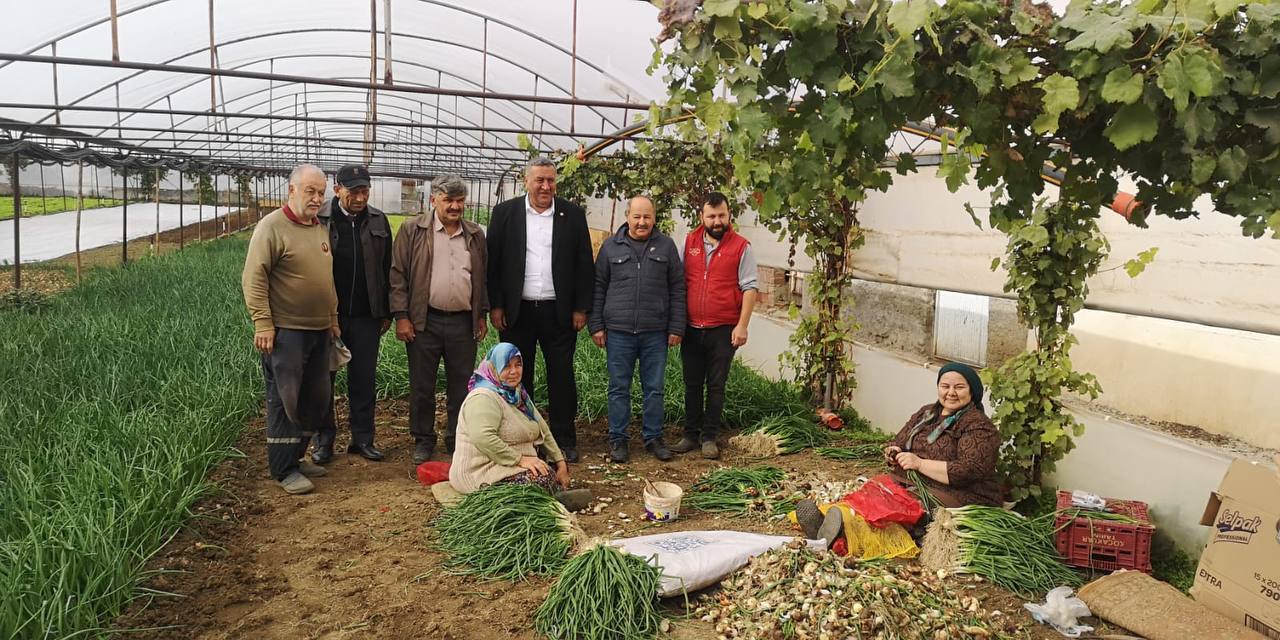 ”HAL YASASI YENİDEN DÜZENLENMELİ”