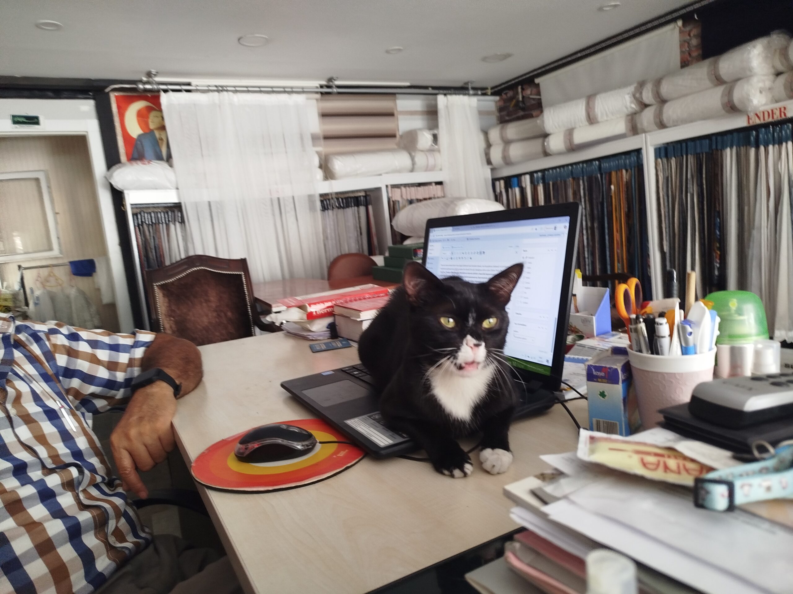 Ofis Kapıları Evcil Hayvanlara Açılıyor, İş Dünyası Dönüşüyor