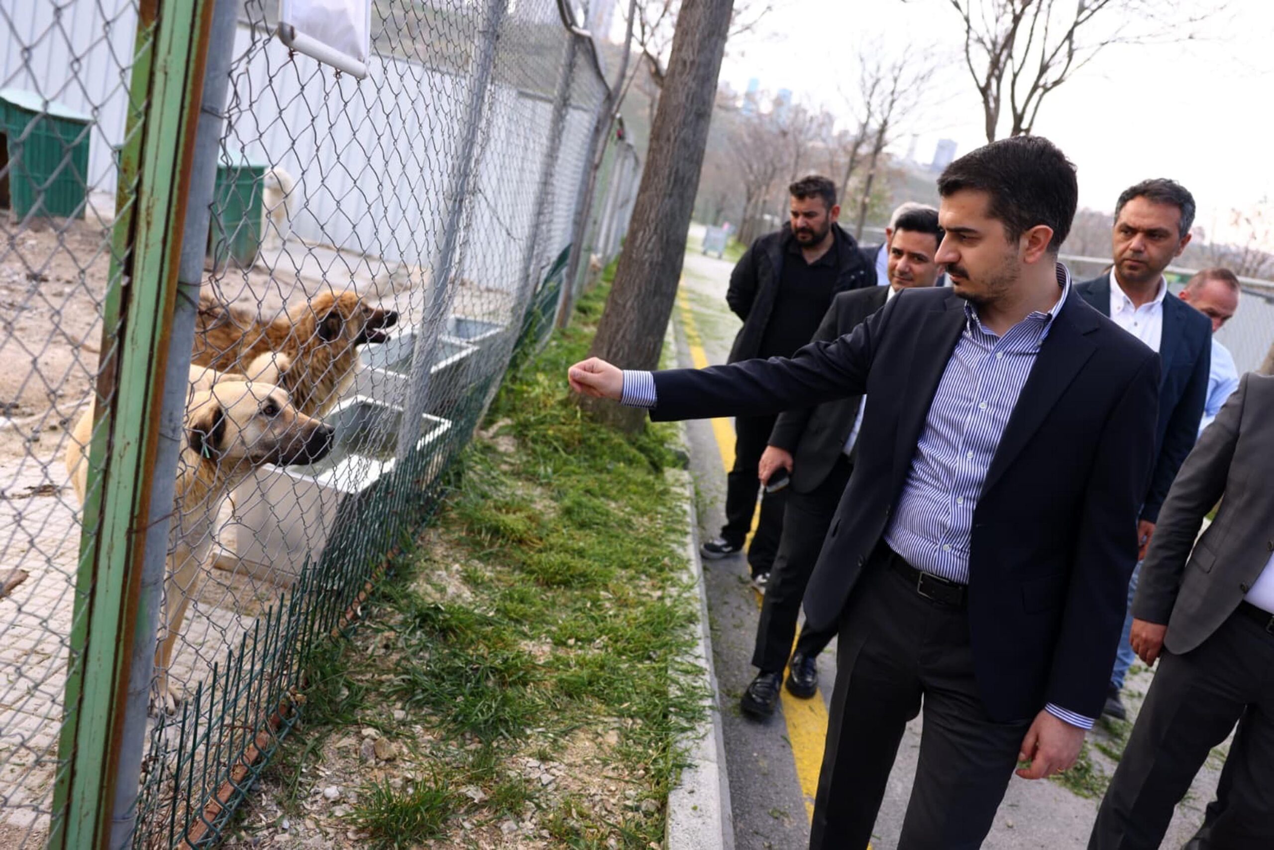 “Can dostlarımızın bakım, tedavileri için  çalışıyoruz”
