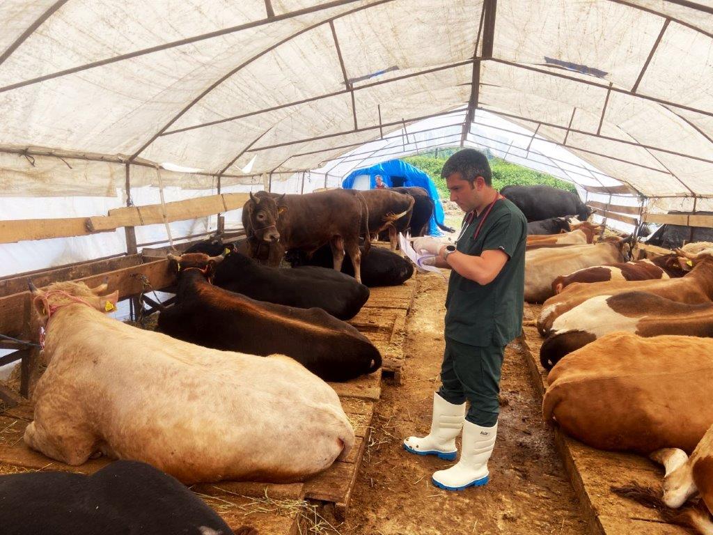 KURBAN PAZARI DENETLENDİ, KURBAN YAKALAMA TİMİ  KURULDU