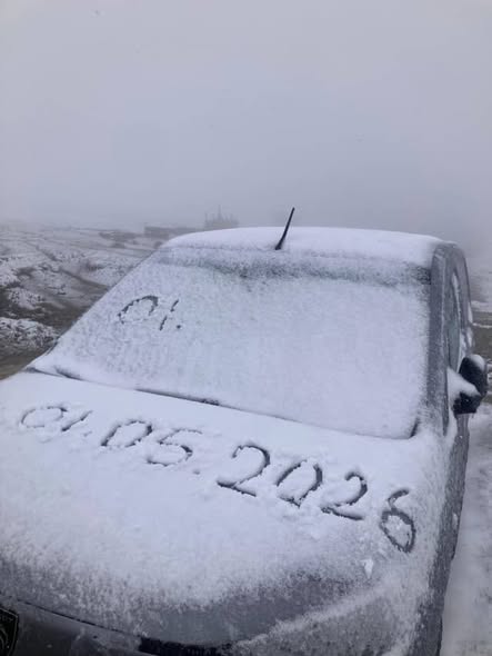 Bu havalara bir şeyler oldu !