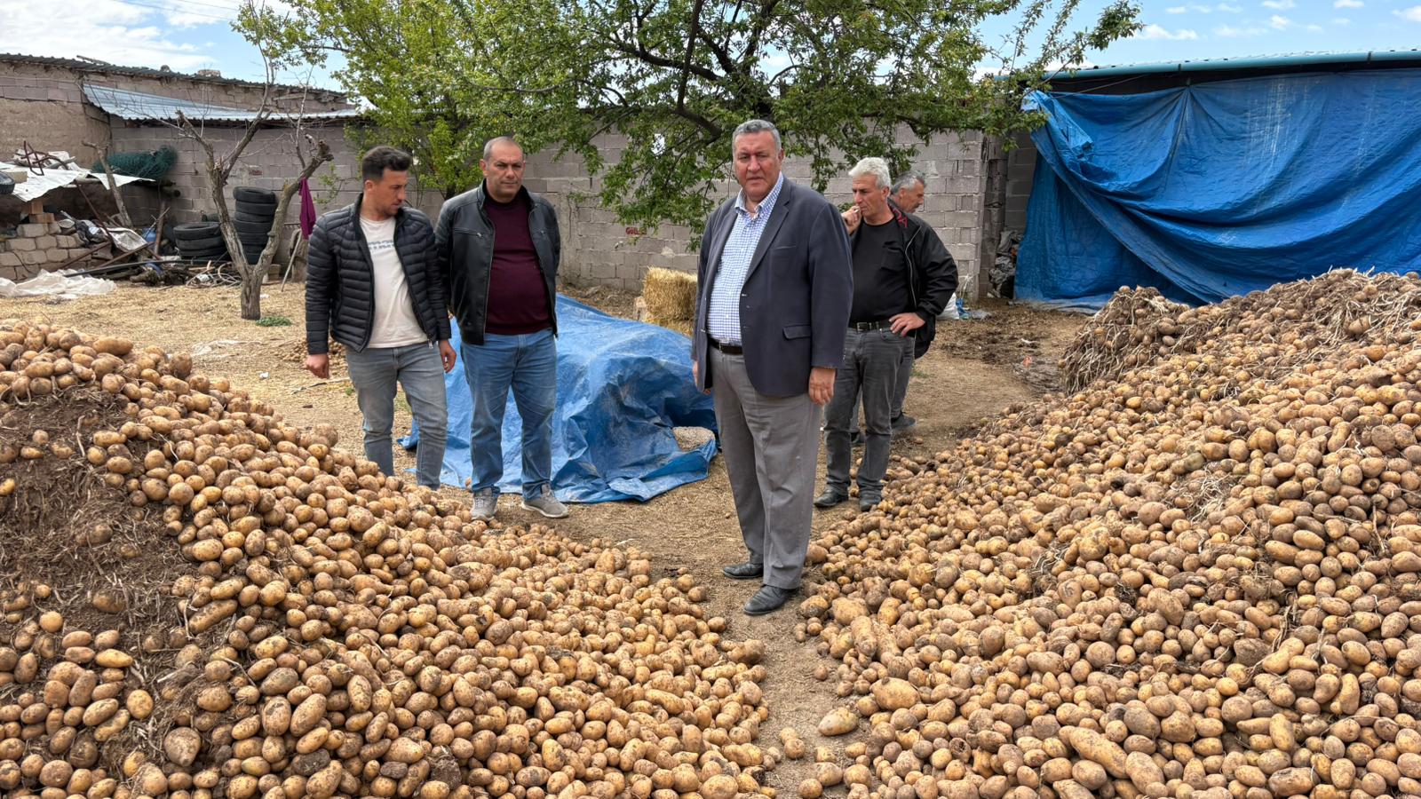 Gürer: “Patates, üreticinin yine yüzünü güldürmedi”