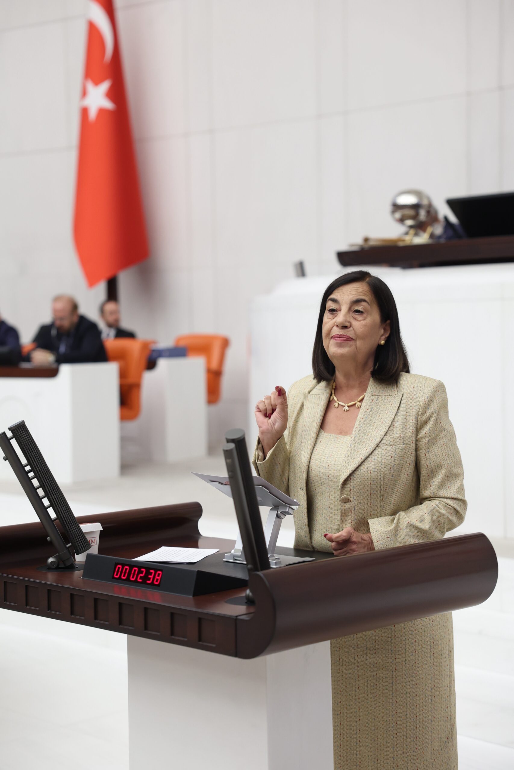 “ORMANLAR ‘MESİRE’ ADI ALTINDA TİCARİLEŞTİRİLİYOR”
