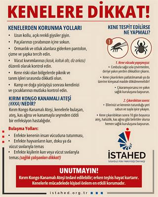YILAN, AKREP VE KENE ISIRMALARINDA BU HATALAR ÖLDÜRÜYOR!